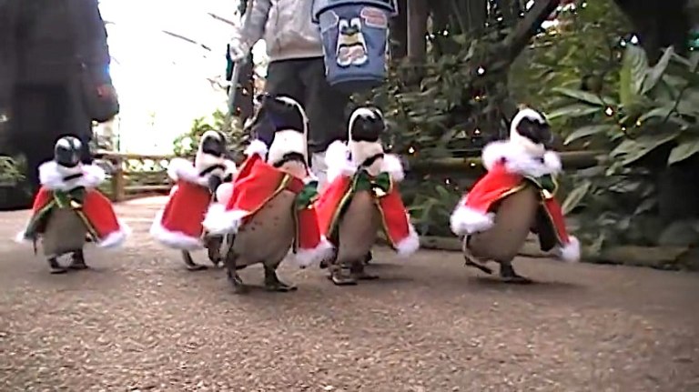 Penguins in Santa Suits Matsue Vogel