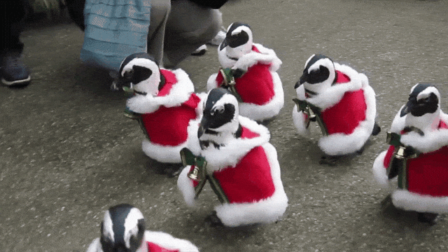 Penguins in Santa Suits