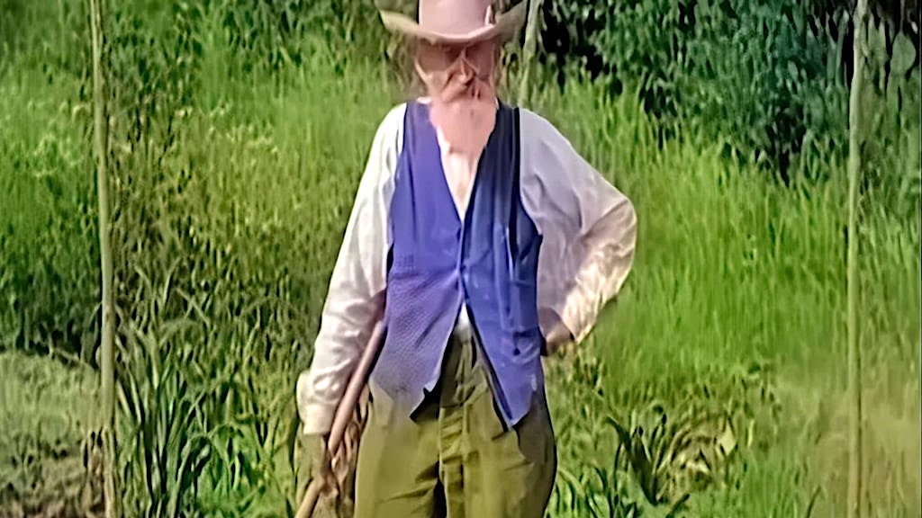 87 Year Old Farmer 1929