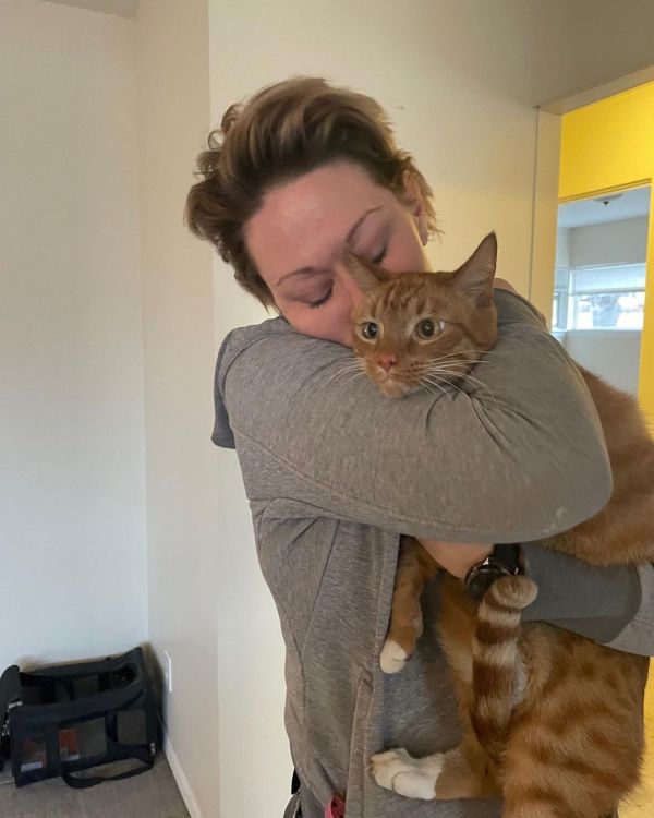 Cat Reunited With Humans After Donation
