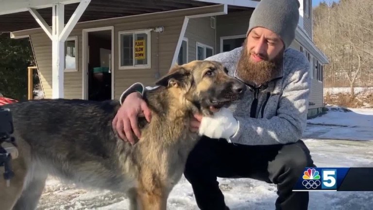 Dog Leads Police to Human Car Accident