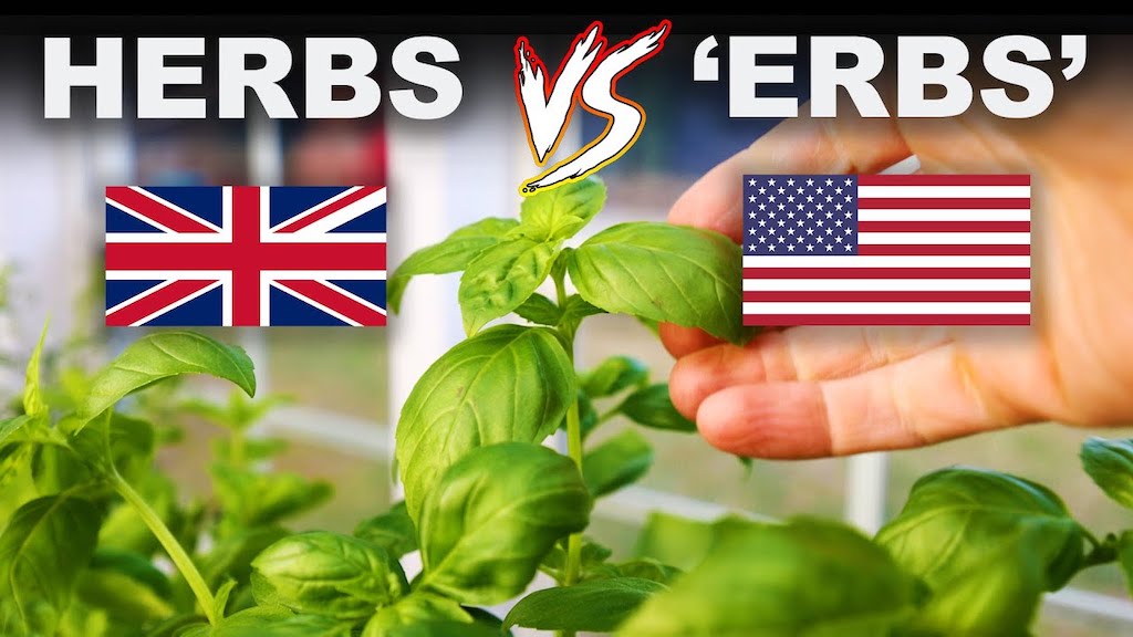 Herbs vs Erbs