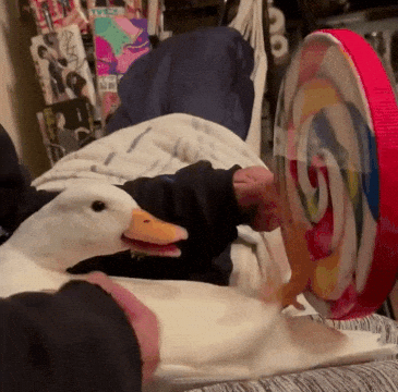 Duck Plays Drums
