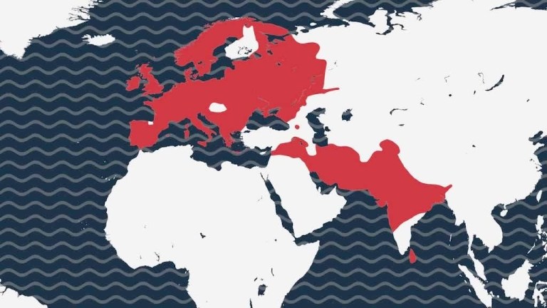 History of English Language