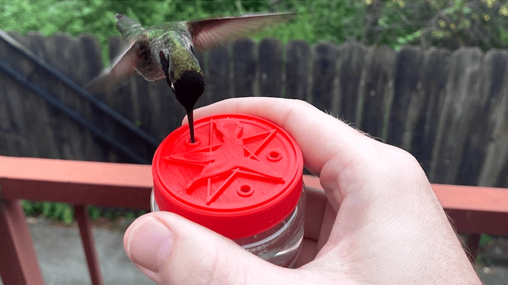 Oakland Man Creates a Custom Handheld Feeder for a Beloved Hummingbird Who Keeps Returning to His Yard