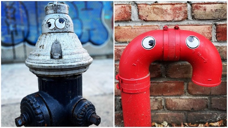 Anthropomorphic Googly Eyes Brooklyn