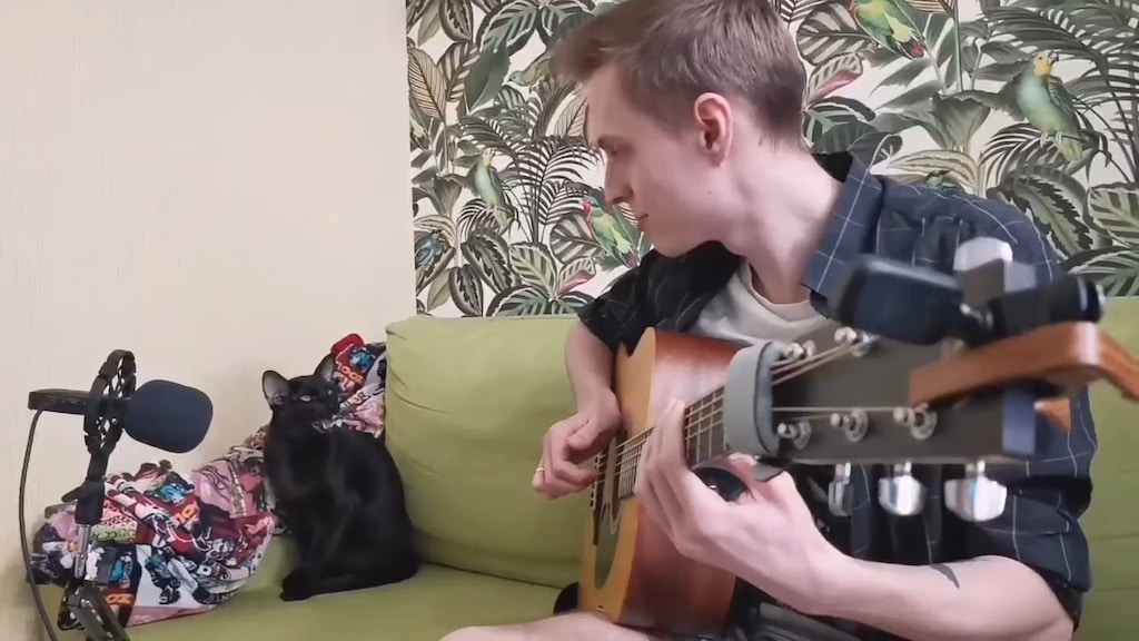Black cat sings Blues