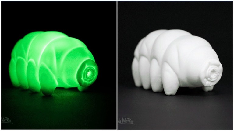 Tardigrade Night Light