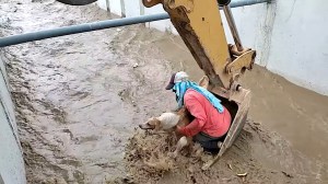 Construction Crew Rescues Dog From Irrigation Canal