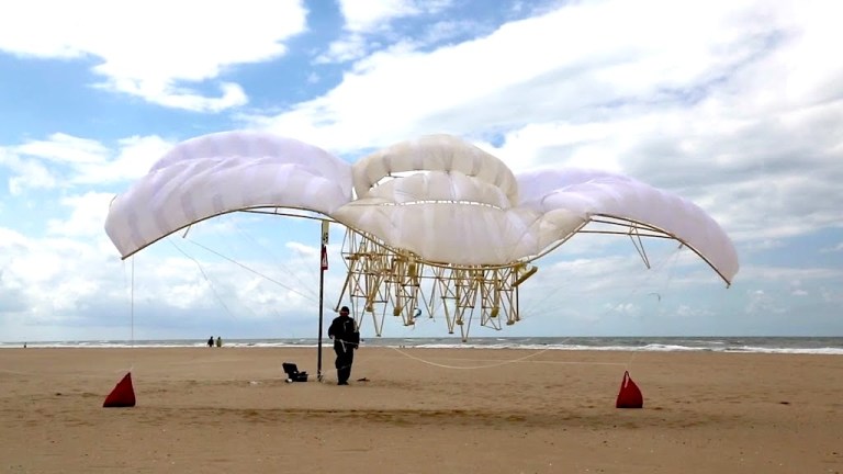 Theo Jansen Strandbeest Evolution