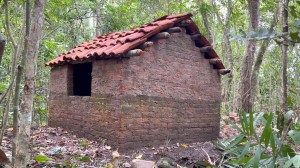 Primitive Technology Wood Ash Cement Fired Brick Hut