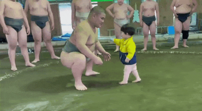 Sumo Wrestling Toddler