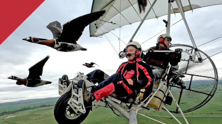 Tom Scott Flies With Geese