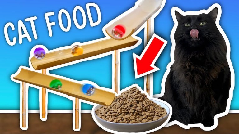 Giant Cat Food Marble Run