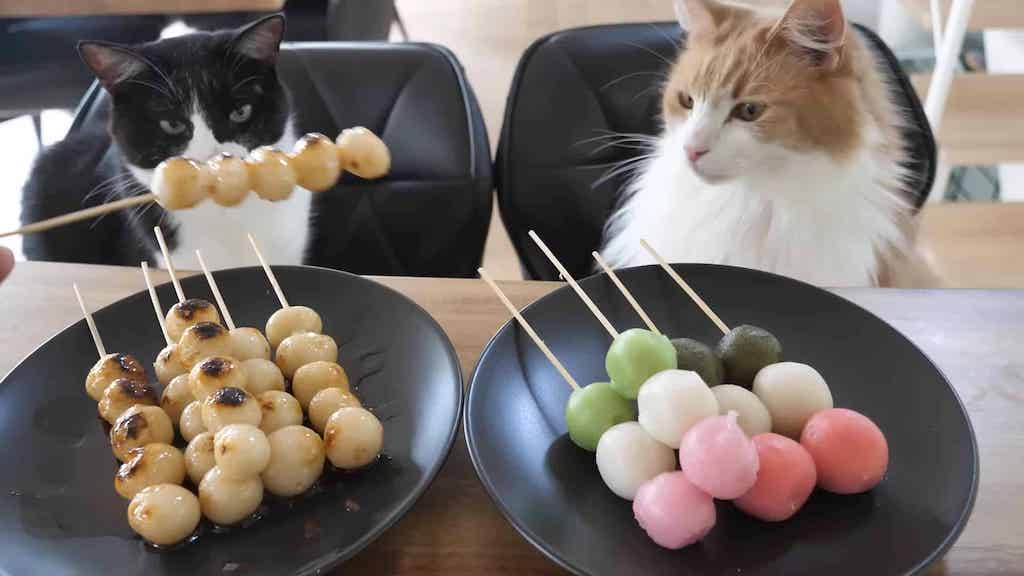Cook Prepares Homemade Sweet Japanese Dumplings in Front of His Curious Cats