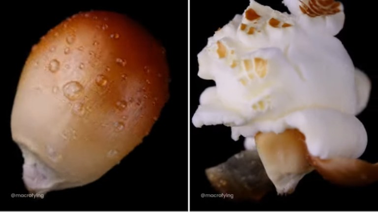 Popcorn Popping Slow Motion Macro