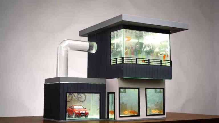 Amazing House Aquarium with Tunnel