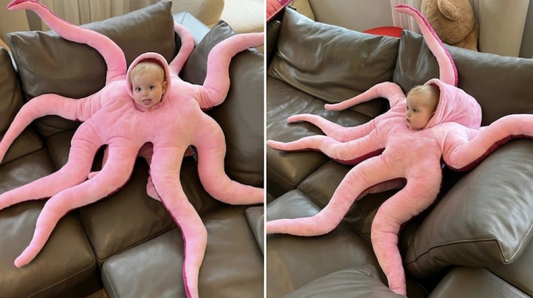 Baby Octopus Costume