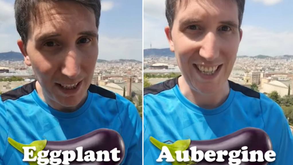 Eggplant vs Aubergine