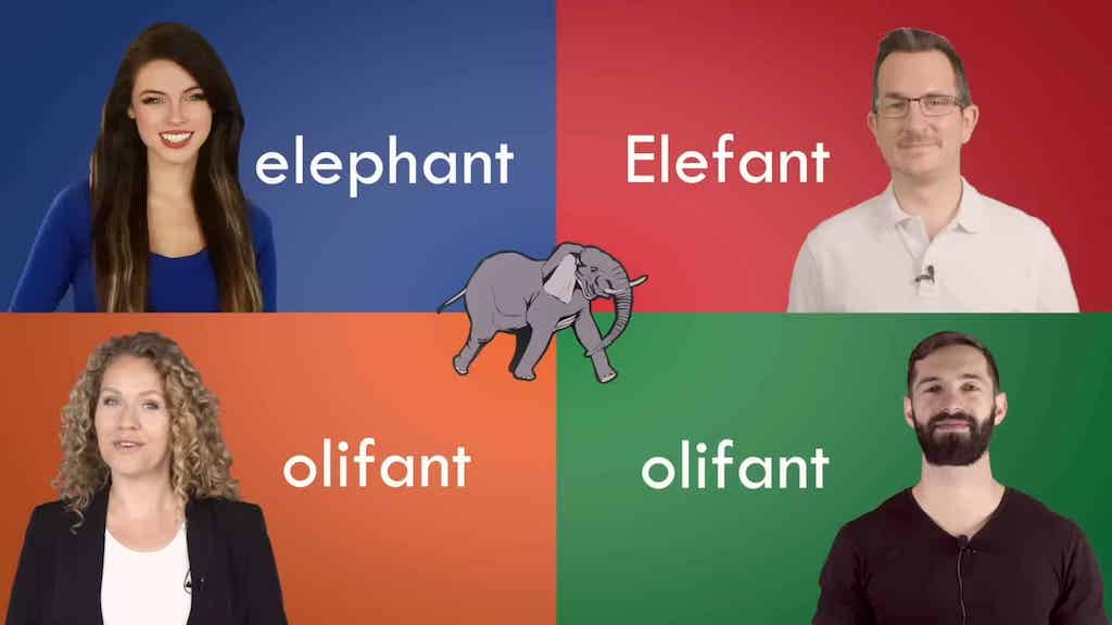 A Fascinating Demonstration of the Differences Between English, German, Dutch, and Afrikaans
