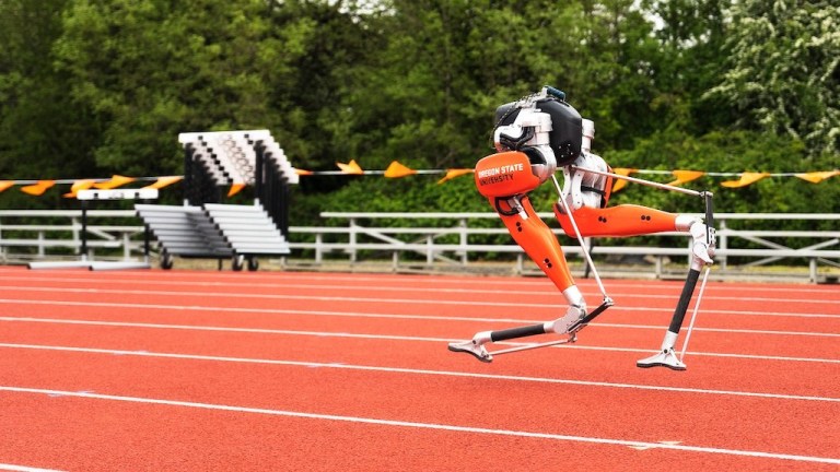 Cassie BiPedal Robot GWR