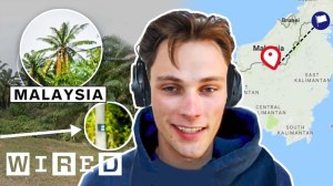 GeoGuessr Tips and Tricks