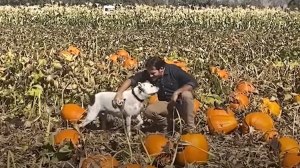 Man Shows Dog the Wonders of Fall
