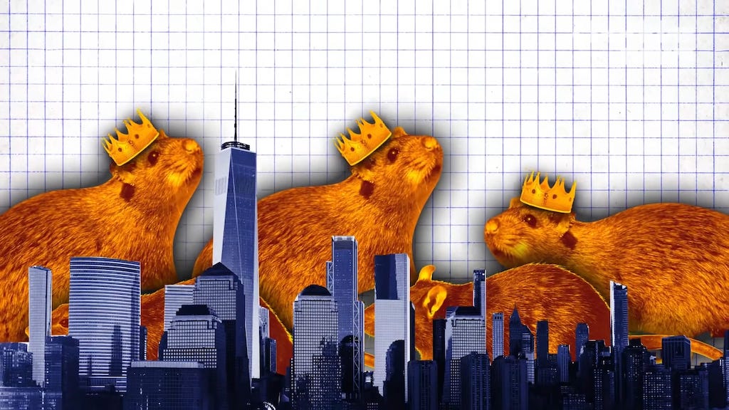 Why New York Has So Many Rats