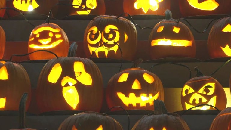 Hundreds of Jack o Lanterns Transylvania University