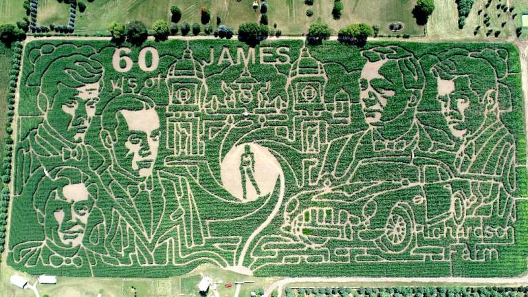 Intricate Corn Mazes