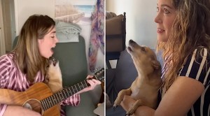 Dog Sings Show Tunes With Human