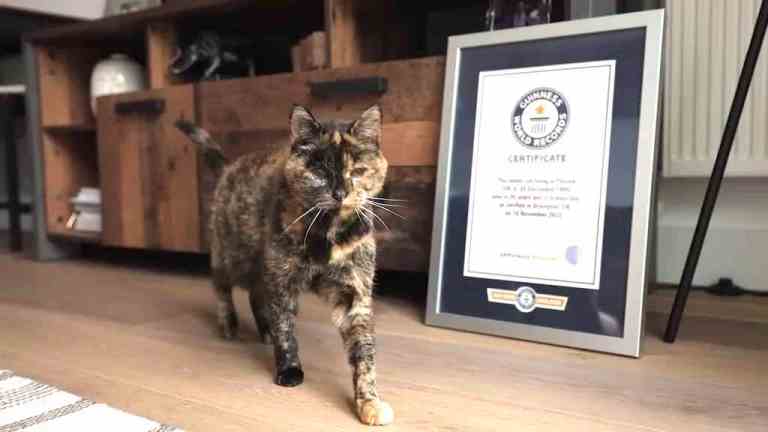 Oldest Living Cat GWR