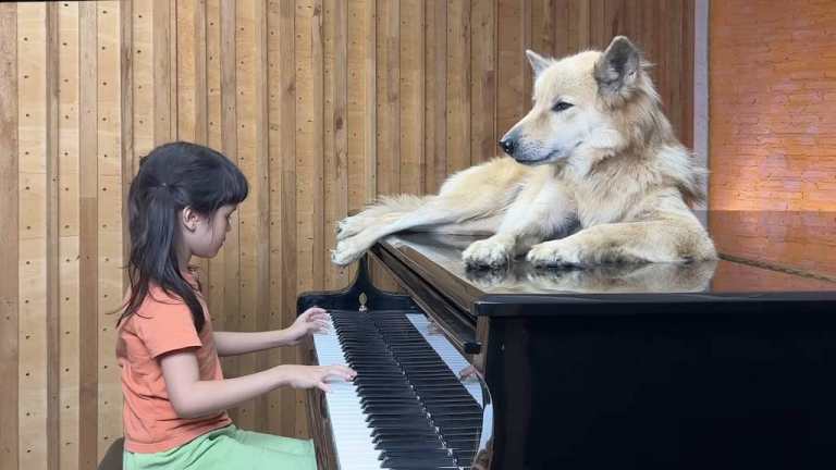 Piano for Adopted Dog