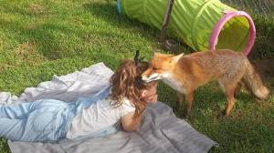 Girl Fox Friendship