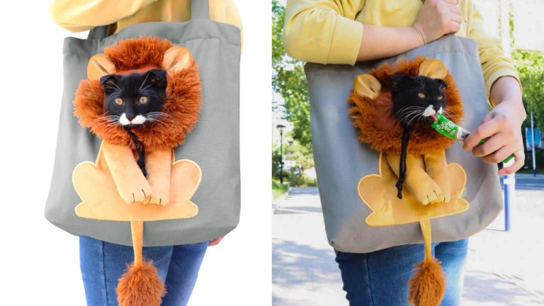 Cat to Lion Tote Bag