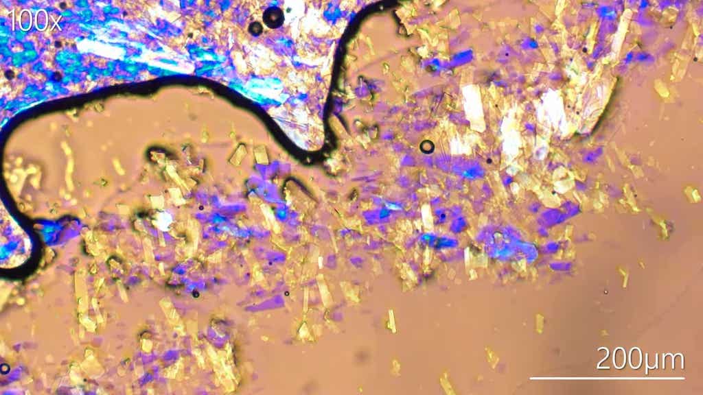 The Kaleidoscopic Colors of Honey Under a Microscope