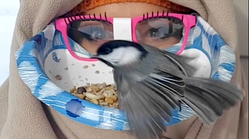 Woman Turns Face Into Bird Feeder