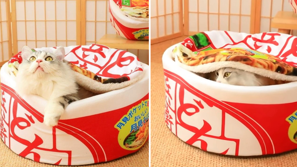 Cup O Noodles Cat Bed