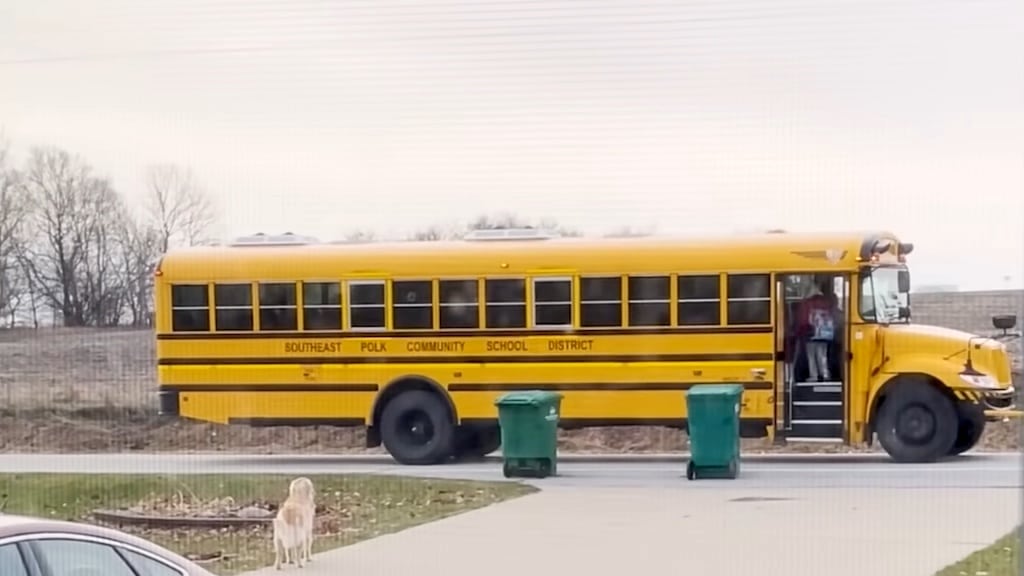 Dog Walks Girl to School Bus