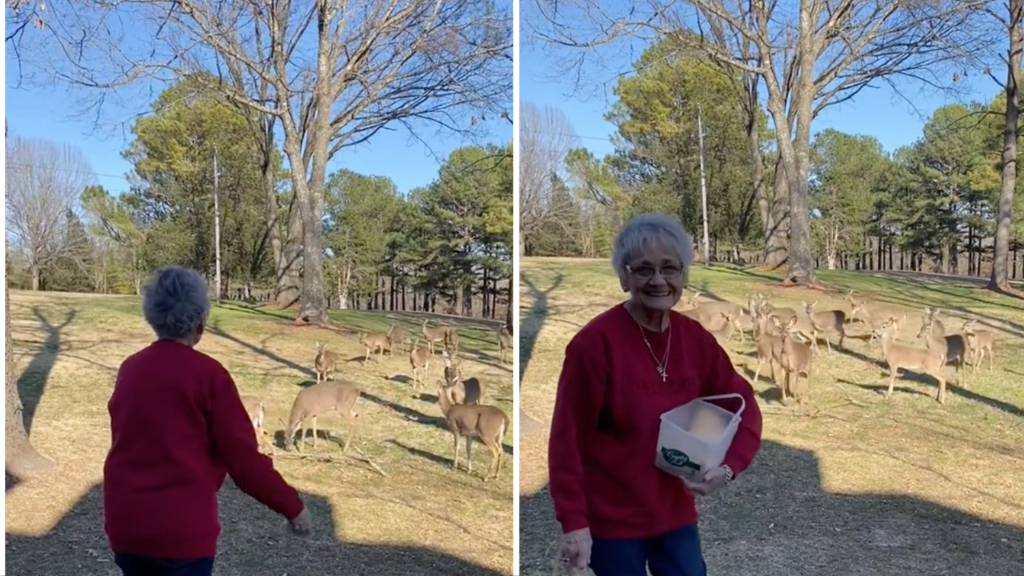 Grandma Calls Deer Like Snow White