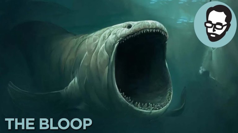 The Bloop