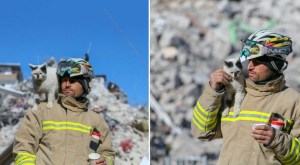 Turkish Firefighter Adopts Rescued Rubble Cat