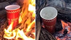 Boil Water Paper Cup