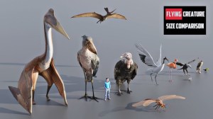 Flying Creature Size Comparison
