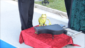 Frog Puppet Plays Piano