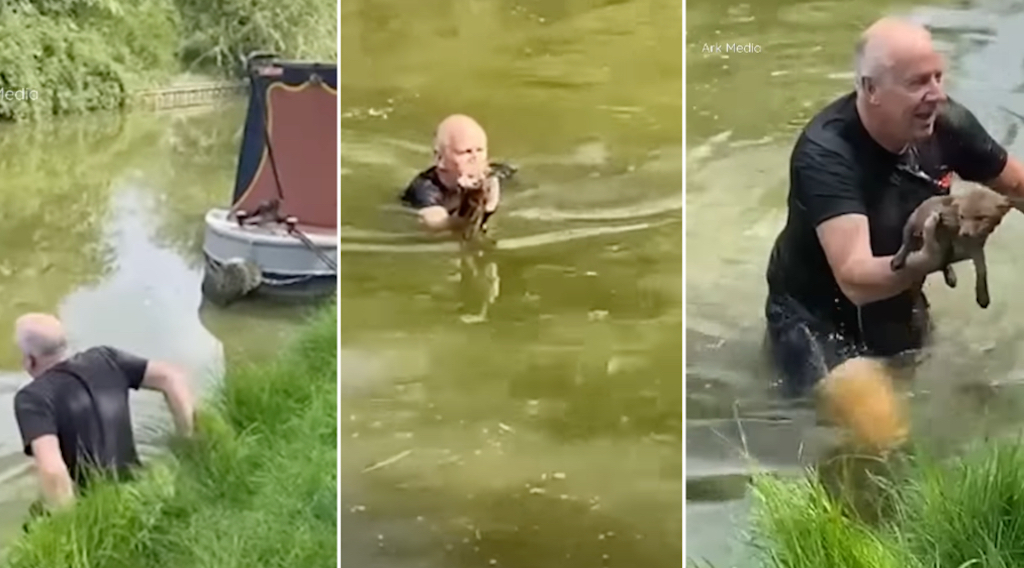 Man Saves Baby Fox Canal