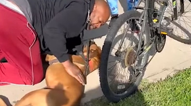 Dog CPR