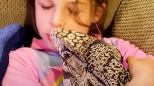 Lizard Girl Cuddles
