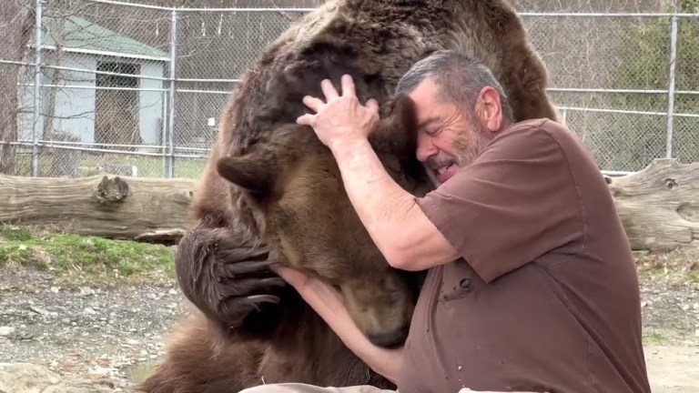 Man and Bear Discussion