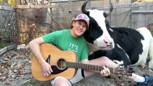 Singing to Cows